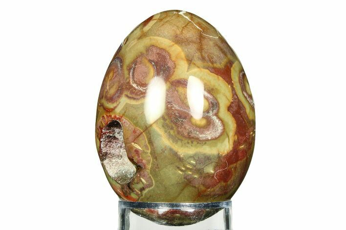 Polished Spiderweb Jasper Egg - Oregon #308701